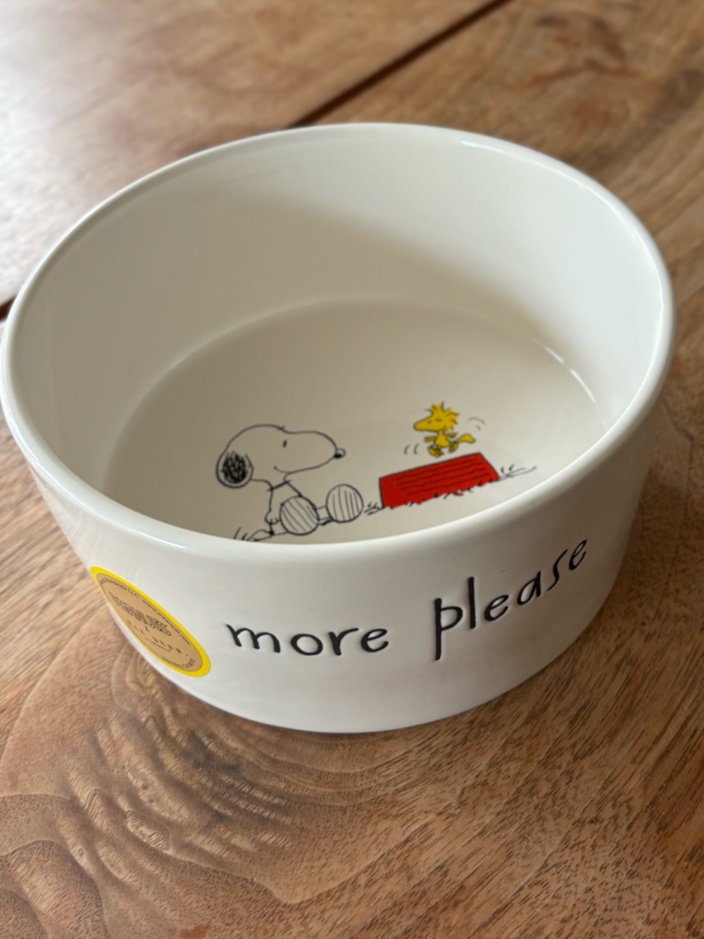 RAE DUNN x Peanuts Dog Bowl  Snoopy & Woodstock Ceramic Bowl “more please”